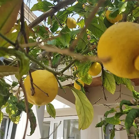 Dom wakacyjny La Casa Di Nonna *