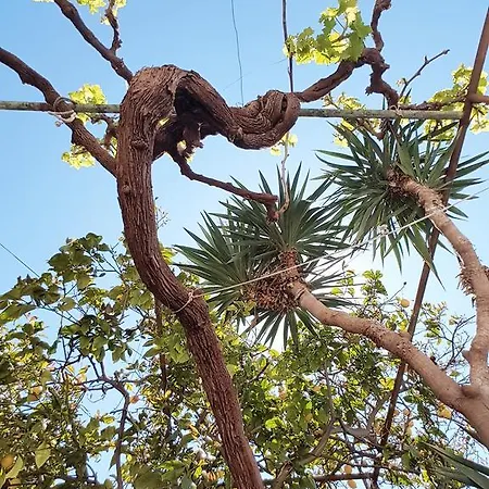 La Casa Di Nonna Mali Losinj