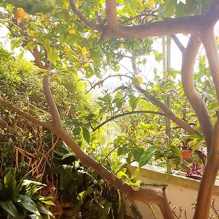 Vikendica La Casa Di Nonna